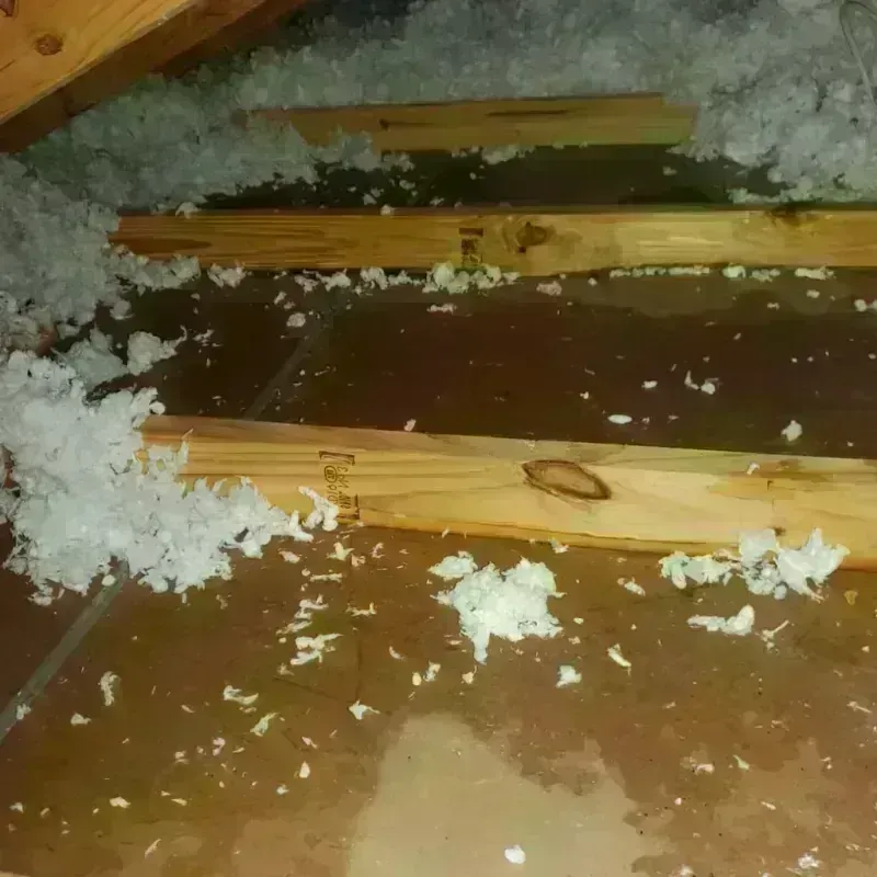 Attic Water Damage in DeWitt, MI