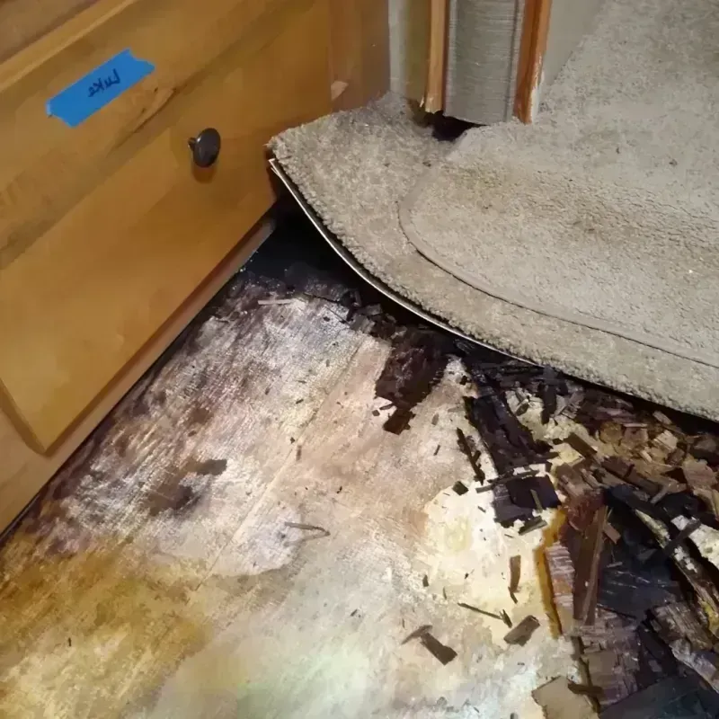 Wood Floor Water Damage in DeWitt, MI